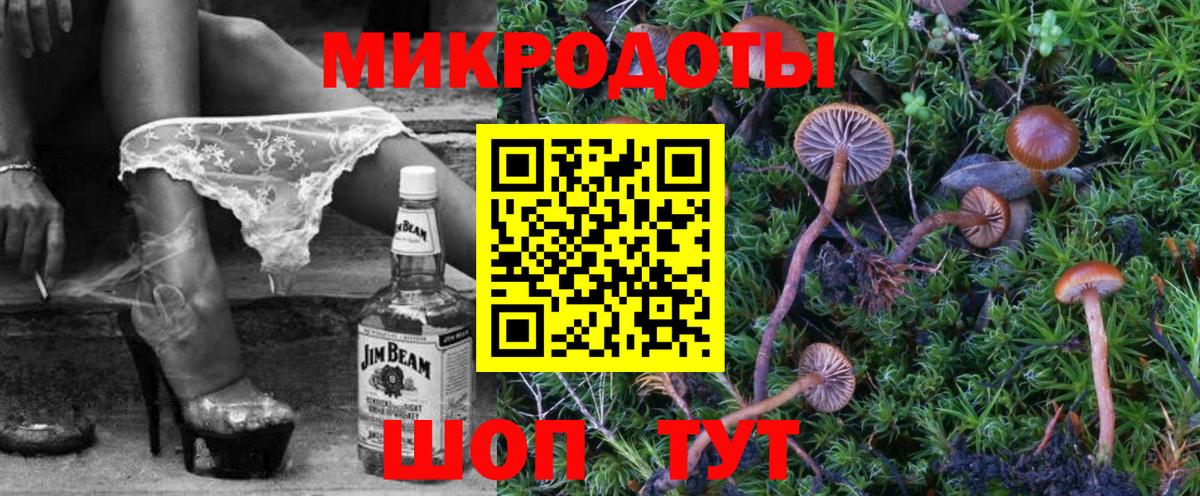 Псилоцибиновые грибы прущие грибы  Галлюциногенные грибы Psilocybine cubensis  Вход с VPN  Карабулак 